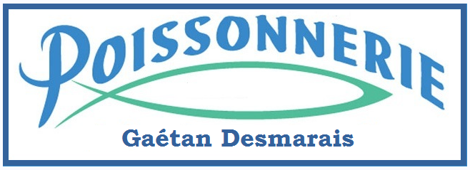 logo2